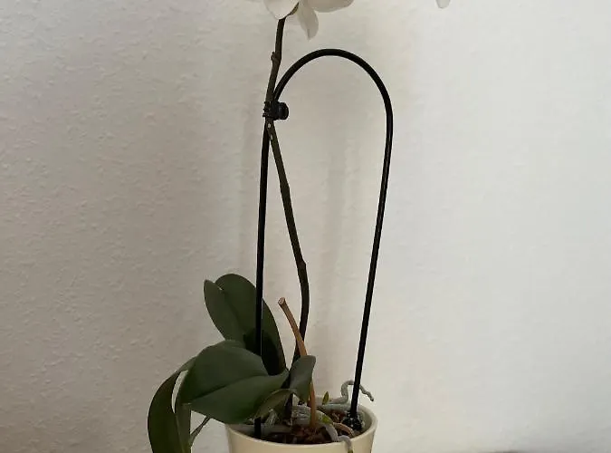 Appartement Wohlfuehlwohnung In