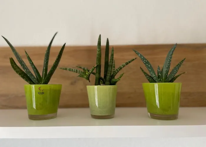 Wohlfuehlwohnung In Apartment